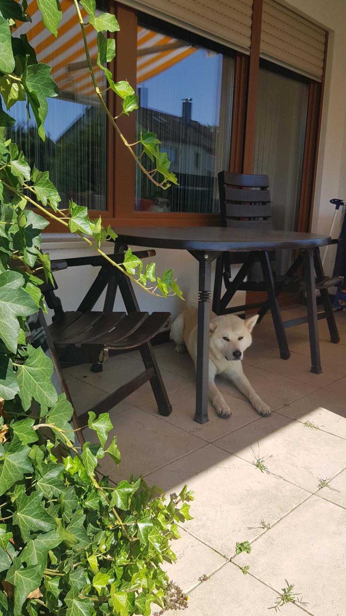 Zu Besuch Bei Maria - Einzimmerwonung Mit Kitchenette Und Badezimmer Homestay *